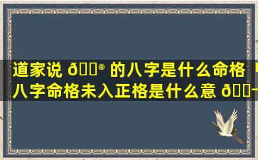 道家说 💮 的八字是什么命格「八字命格未入正格是什么意 🐬 思」